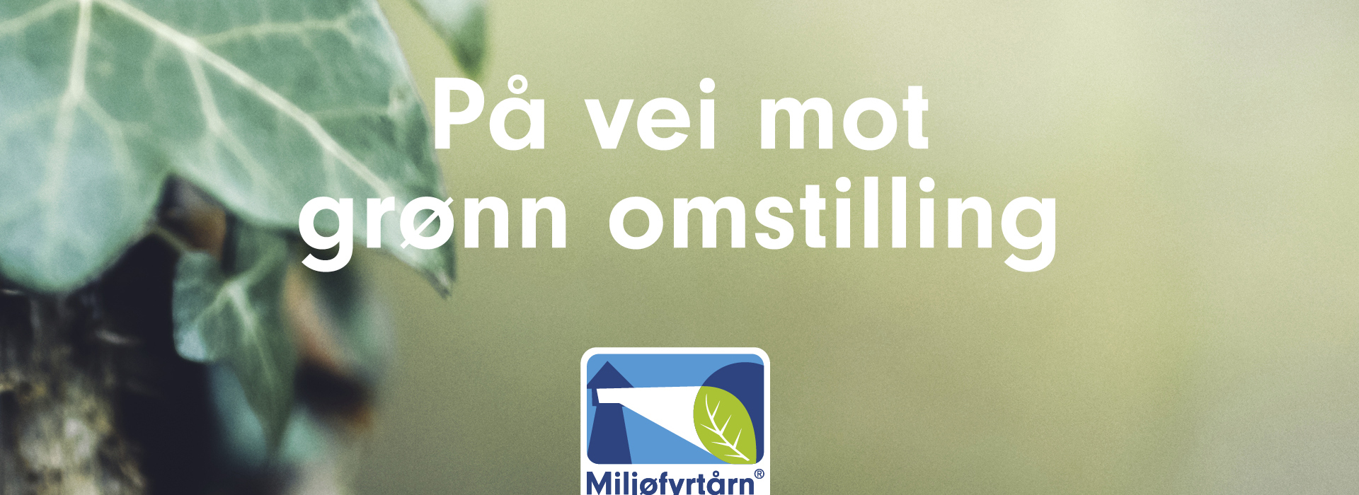 Banner Til Web 2 Gronn Omstilling (1)